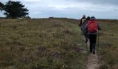 Trail Walking Landéda - Aber Wrach - Aber Benoît - Aber Wrach  - Photo 5