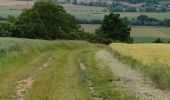 Excursión Senderismo Apremont-la-Forêt - fort liouville - Photo 1