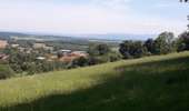 Trail Mountain bike Moimay - Oricourt et environs - Photo 10