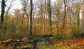 Randonnée Marche Vieux-Moulin - en forêt de Compiègne_26_la Grotte des Ramoneurs_Tournantes de la Queue de Saint-Etienne et sur la Côte de Roilaye - Photo 4