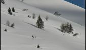 Percorso A piedi Vermiglio - Biotopo Torbiera del Tonale - Photo 4