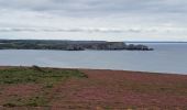 Trail Walking Camaret-sur-Mer - T-St-Julien - Photo 7