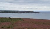 Tour Wandern Camaret-sur-Mer - T-St-Julien - Photo 7