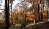 Tour Zu Fuß Römhild - Wanderroute I im Gleichberggebiet - Photo 10