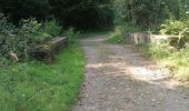 Tour Wandern Bouillon - Belle rando très sportive au départ de Rochehaut  - Photo 8