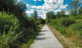 Percorso Mountainbike Virton - Ruette  -  Balade_VTT_14kms - Photo 11