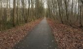 Tour Elektrofahrrad Maaseik - Van Opoeteren naar Maaseik en terug - Photo 11