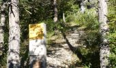 Trail Walking Glandage - Col de la Péyère (Grimone) - Photo 2