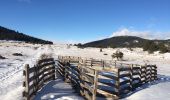 Excursión Raquetas de nieve La Llagonne - Llagone capcir  - Photo 2