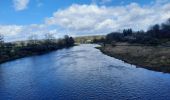 Tour Wandern Florenville - marche adeps Chassepierre  - Photo 5