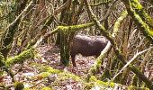 Trail Walking Beure - Beure Valmy variante - Photo 15
