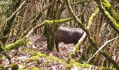 Trail Walking Beure - Beure Valmy variante - Photo 15