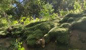 Randonnée Marche Allarmont - 2019-06-08 Marche Allarmont et ses rochers - Photo 4