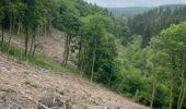 Trail Walking Monschau - Tour de Monschau 20Km - Photo 4