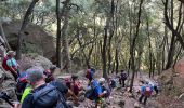 Percorso Marcia Bagnols-en-Forêt - Crête Diaou et gorges du Blavet - Photo 15