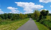 Excursión Bicicleta híbrida Lévignen - Voie verte de Valois - Photo 12