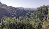 Tocht Stappen La Roche-des-Arnauds - Circuit de la Gerle - Photo 3