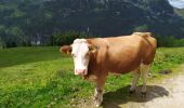 Trail Walking Untertauern - Ober - Photo 5