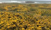 Trail Walking Saint-Pierre-Quiberon - Quiberon tour  - Photo 5