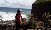 Excursión Senderismo Le Lorrain -  la crabière en boucle  - Photo 9