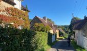 Randonnée Marche Bretoncelles - BRETONCELLES ET SES HAMEAUX - Photo 6