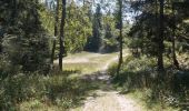 Percorso Marcia Autrans-Méaudre en Vercors - Autrans - Gève - Bec de l'Orient - La Buffe - Photo 18