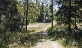 Trail Walking Autrans-Méaudre en Vercors - Autrans - Gève - Bec de l'Orient - La Buffe - Photo 18