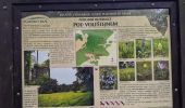 Randonnée A pied Černošín - [Ž] Pod Třebelí - Volfštejn - Černošín - Krasíkov - Photo 4