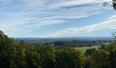 Tour  Meyssac - Sob collonges quatre routes du lot - Photo 1