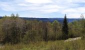 Tour Wandern Leschères - Vichaumois-Valfin - Photo 1