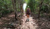 Trail Walking La Trinité - caravelle - Photo 4