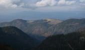 Tocht Te voet Feldberg - Feldbergsteig - Photo 8