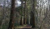 Tocht Stappen Lobbes - Mont Sainte Geneviève  - Photo 18