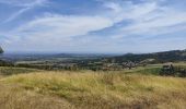 Tocht Stappen Marcoux - Ballade au volcan Montaubourg  - Photo 6