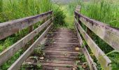 Tour Wandern Le Marigot - Marigot vers le Lorrain - Photo 13