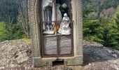 Tour Wandern Celles-sur-Plaine - Lajus Celles sur Plaine - Photo 2