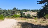 Trail Walking Peyre en Aubrac - Javols - Photo 4