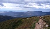 Randonnée Marche Le Valtin - VOSGES 2023 - Sentier des Roches - Photo 8