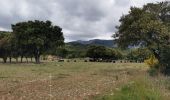 Percorso Marcia Signes - Boucle Chibron - Haut Latay - Photo 2