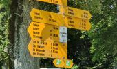 Trail On foot Porrentruy - Porrentruy-Les Chainions - Photo 10
