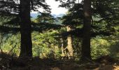 Randonnée Marche Lecumberry - IRATY  PETRILARRE-HEGIXURIA en boucle - Photo 6