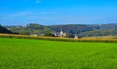 Tour Wandern Floreffe - Marche Adeps à Floreffe - Photo 15