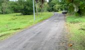 Trail Trail Sainte-Anne - Belle mare  - Photo 1