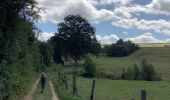 Tour Wandern Assesse - Maillen Crupet bois d’Arche 27/08/20 revoir chemins privés - Photo 4