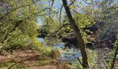 Excursión Senderismo Namur - Du Piroy à Malonne  - Photo 11