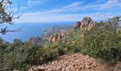 Tour Wandern Saint-Raphaël -  Plateau d’Anthéor & le Pic du Cap Roux - Photo 2