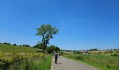 Tocht Stappen Aarlen - Arlon - MESA 2024  - Photo 9