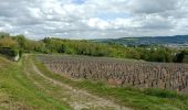 Percorso Marcia Château-Thierry - Les Vignes Castelles trace du 28-04-2024 - Photo 9
