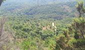 Tocht Stappen Roquebrune-sur-Argens - Pic Bourete - Photo 3