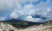 Trail Walking Bédoin - du chalet renard au sommet du ventoux - Photo 10